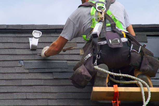 Best Gutter Replacement  in Benson, NC